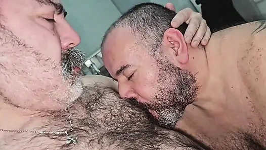 2 Ayı için bir Loboiberico
