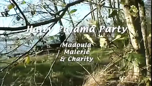 Vintage hairy 3 way aughties hairy hippy lesbians