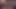アジアン・エンジェル 28010