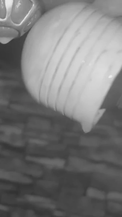Memorable moment from "Made to cum in chastity cage restrained on the milking table"