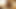 BIG DICK INDIAN MAN MASTURBATING ALONE 91