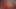 !Rikolo_archives_