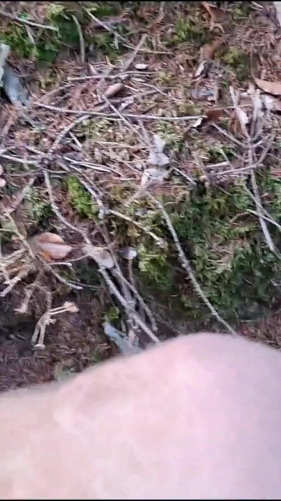 Teen masturbates riskily in the forest | Clip 1