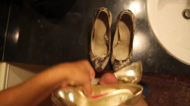 Housestting and helped myself to her heels