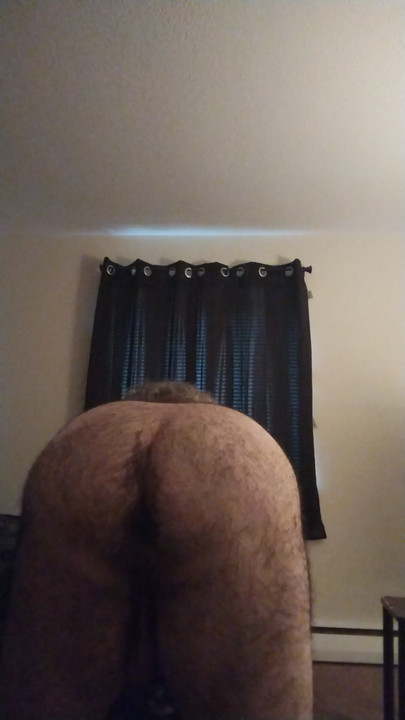 Polar bear needs something hard and deep