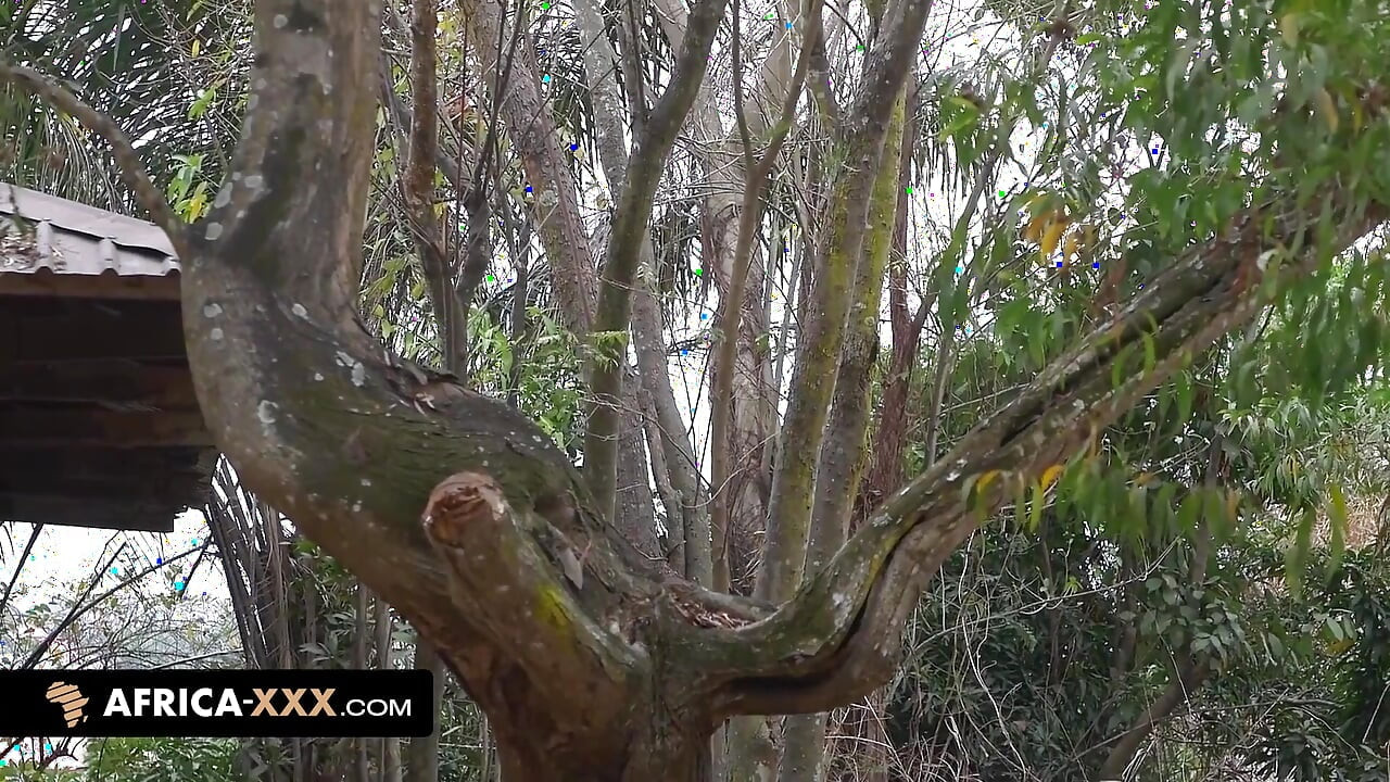 They Cheat on Their Partners