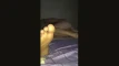 Aperçu de la vidéo
