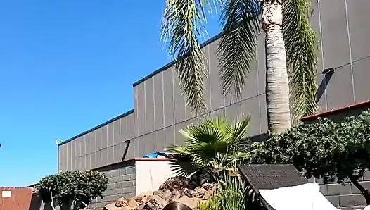 Стрим начался загар