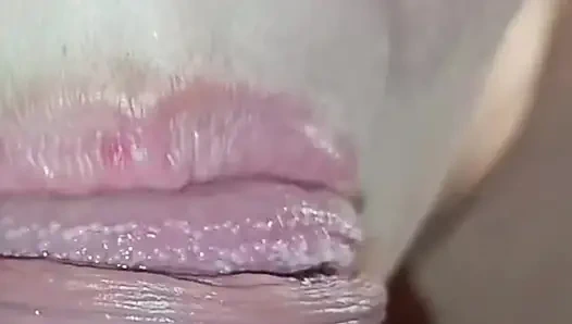 Meine neue stiefmutter kam mich nachts zu Besuch und gab mir einen blowjob, bis ich in ihren mund kam.