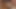 Mein Freund und ich beschließen, einen netten Lesbenporno, Band 2, zu drehen