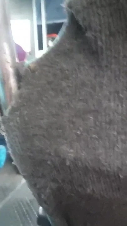perver grandmother in buss