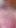Pornstarplatinum - dee williams yeşil iç çamaşırlı Brad Newman'a sakso çekiyor