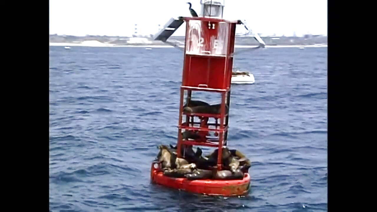 Awek blonde seksi sukar dikongkek di luar di atas bot