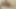 Porno inek carmella vücut aşkı