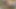 3 asiatische Jungs haben Spaß im Wald (1&#39;03 &#39;&#39;)