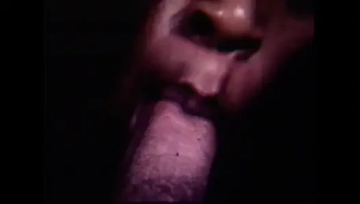 The Gozona Pig Gets Milk