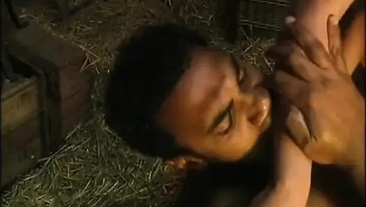 Anal hitam dan putih di peternakan