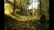 Pratinjau video