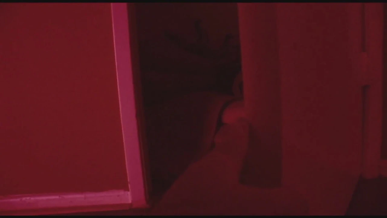 Interracial BBC Anal 3some For Cousins