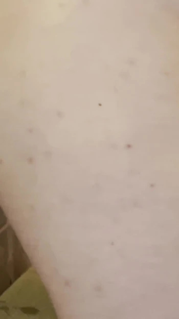 Asmr Dildos