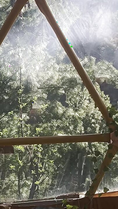 Τελευταίο μέρος - Desi Outdoorsex με ένα άγνωστο κορίτσι στη ζούγκλα