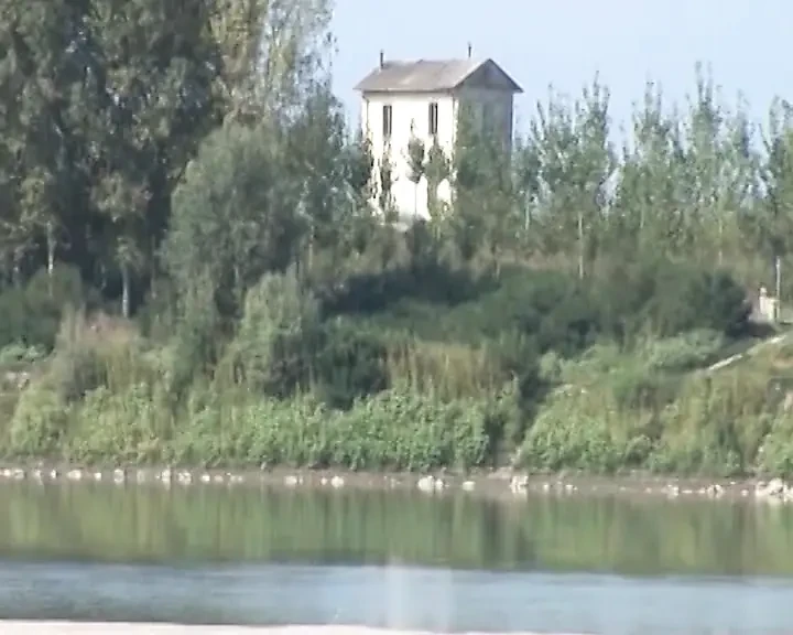 Good Fuck on the Beach
