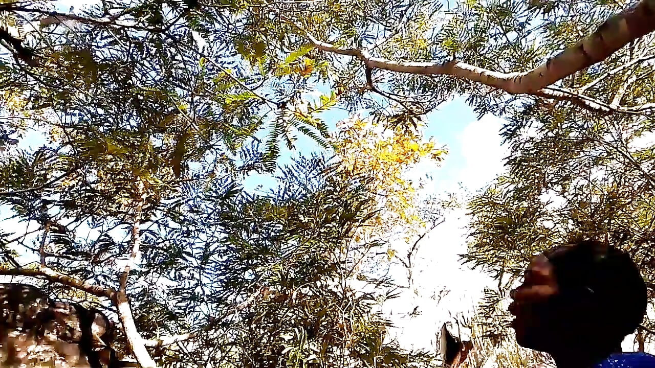 In Our nice mountain