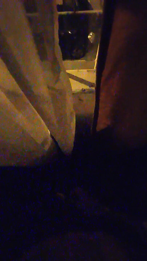 Jerking off for the neighborhood