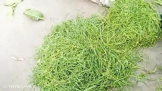 Secret Affair with My Sister-in-Law in the Backyard