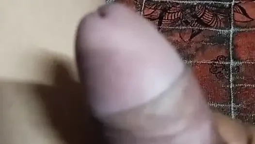 Desi penise