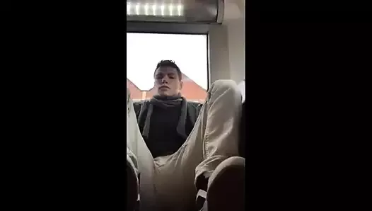 Exhibitionist in the bus