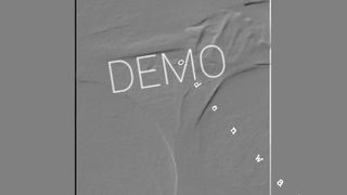 Demo