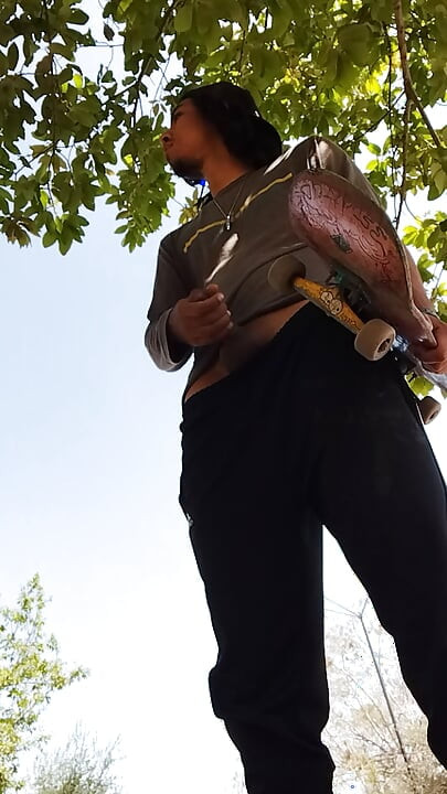A Normal Day in the Park