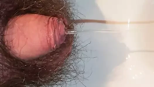 Morgenpiss