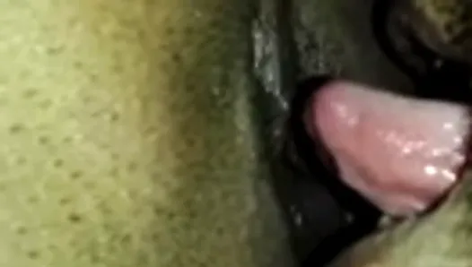 Licking chachi ass hole & pussy