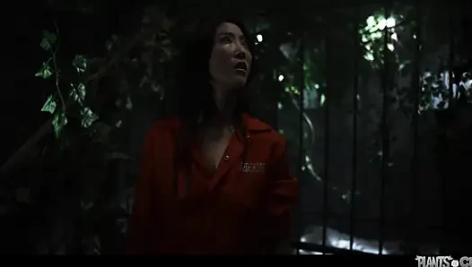 Bitkiler amcıklara karşı vol. 12