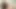 Treasure for sniffer freak teaser