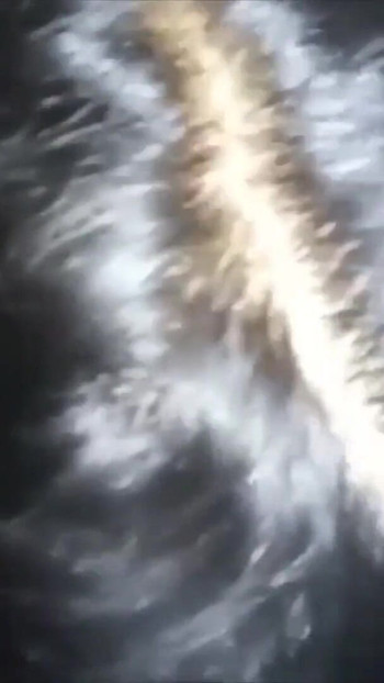 Thrilling moment from "Moroccan Deepthroat - Hot Sexy Dounia Going Crazy Wet"