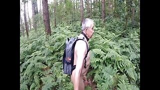 Gewoon een wandeling in het bos