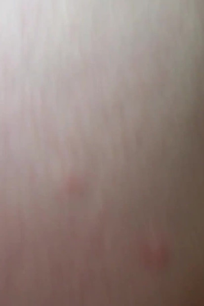 Amateur Wife Fucking Doggy Style. POV