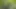 Forest orgy with horny jocks
