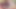 The Exciting Collection of Voluptuous Breasts