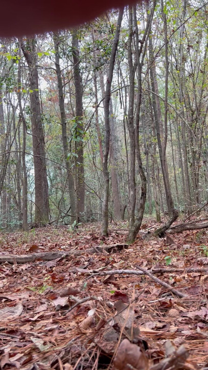 Me nude in the woods!