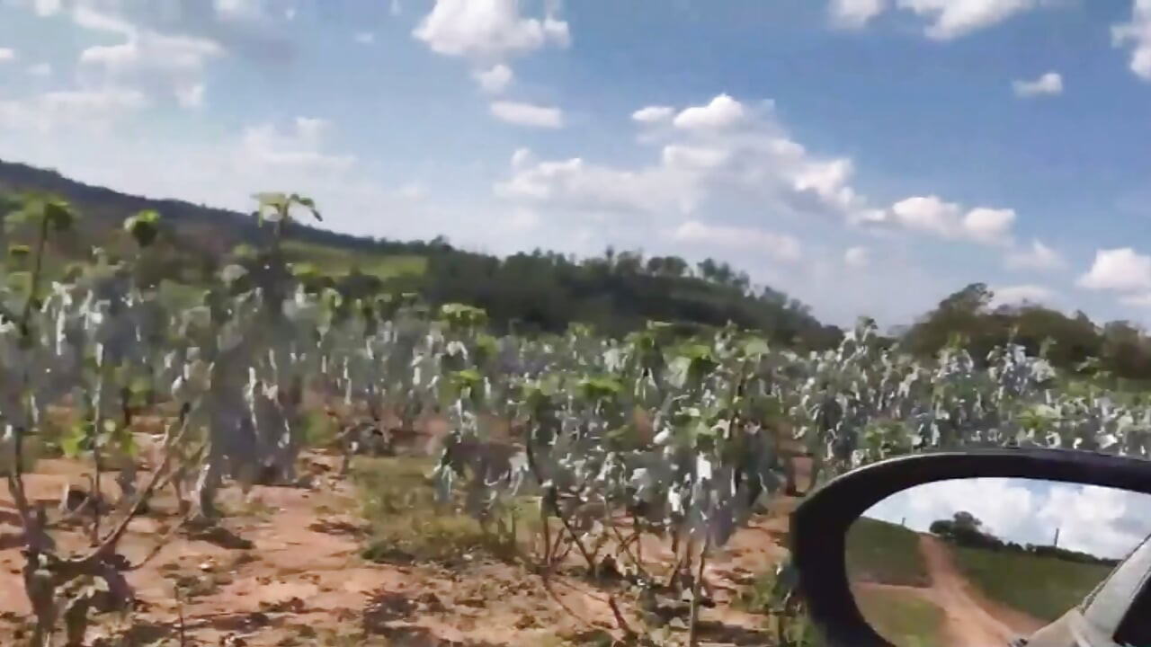 Amatur muda ditangkap tangan merah dengan bertatu