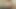 Let Me Massage Your Dick with My Mouth - Virtual Real Porn