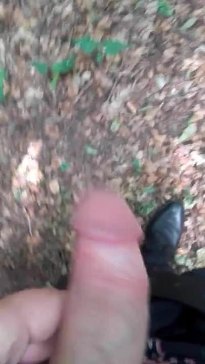 Im Wald