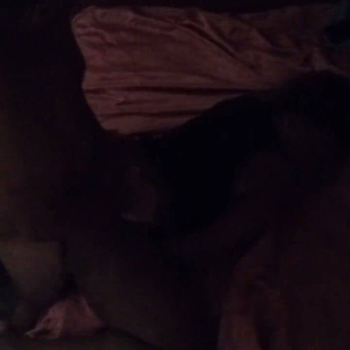Naughty Black Girl Came to Cum with Me