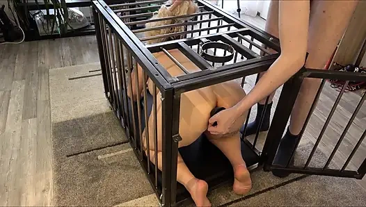 Evet Usta, ben seninim