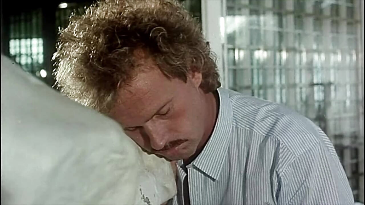 밀리가 포옹하고 많은 항문 장면이 나오는 포르노 세트