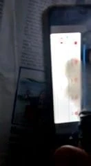 Cum tribute